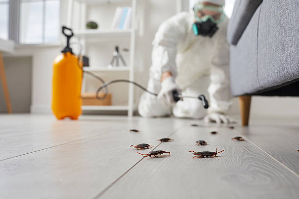 Commercial Kitchen Cockroach Control in Dewey